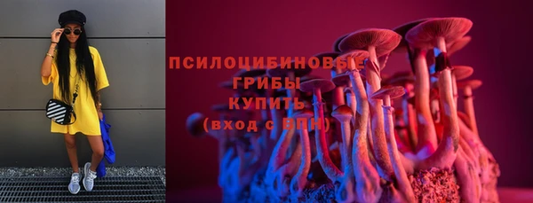 соль ск Гусев