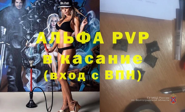стаф Кохма