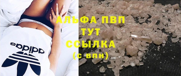 гидра Ладушкин