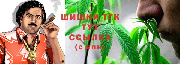 соль ск Гусев