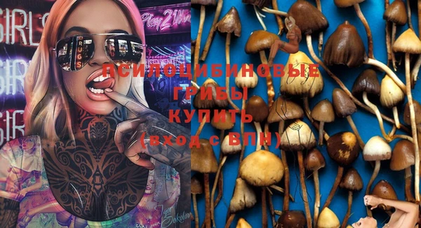 ПСИЛОЦИБИНОВЫЕ ГРИБЫ Гусь-Хрустальный